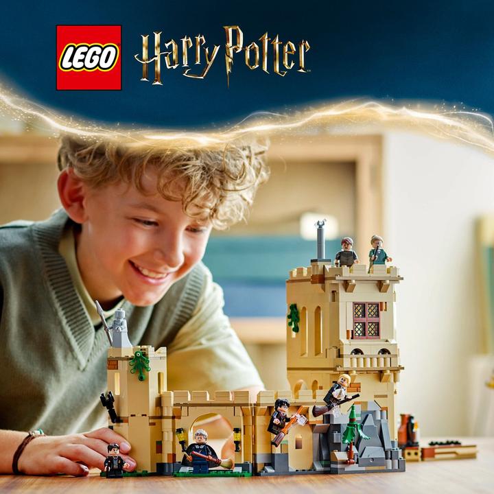Image du produit LEGO Château de Poudlard Heures de vol (76447, LEGO Harry Potter)