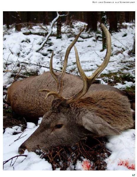 Actual product image Drückjagd (German, Peter Diekmann, 2021)