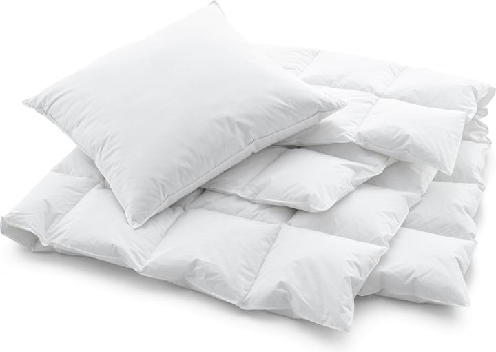 Immagine prodotto Swiss Dream by billerbeck Cassetta media (1110 g, 240 x 240 cm)