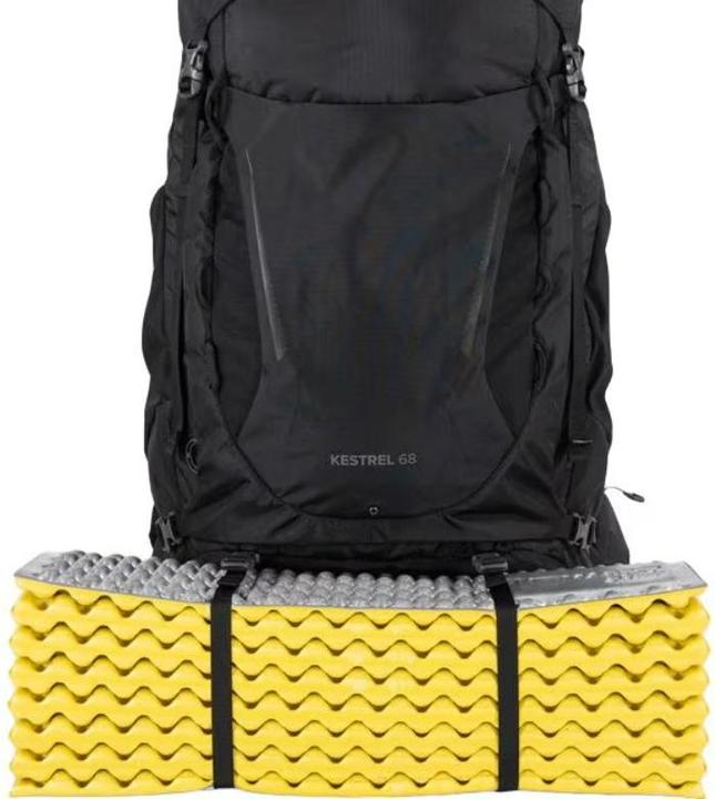 Actual product image Osprey Kestrel 38 (38 l)