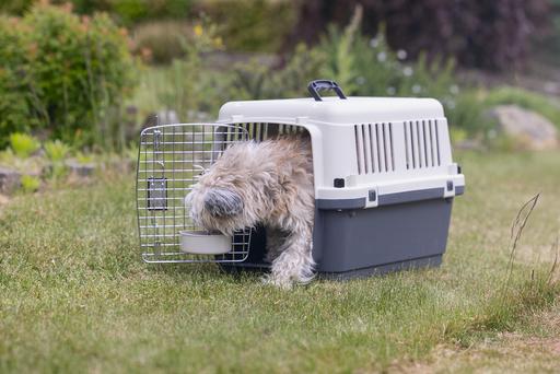 Produktbild Karlie Nomad (Hund, Katze, Abschliessbar)