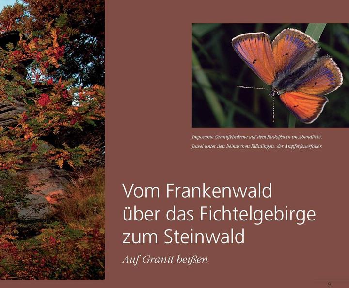 Actual product image Das grüne Dach (German, Berndt Ficher, Berndt Fischer, 2012)