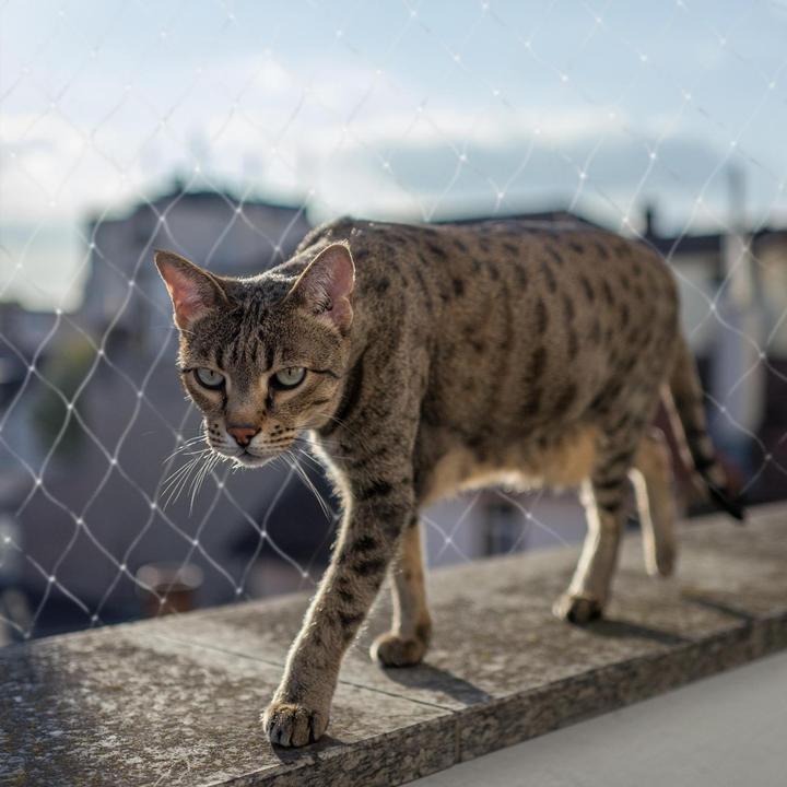 Actual product image EBI Duvo+ balcony safety net