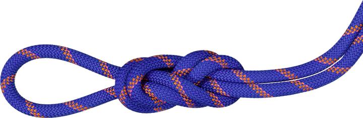 Image du produit Mammut 9.0 Alpine Sender Dry Corde d'escalade (30 m)