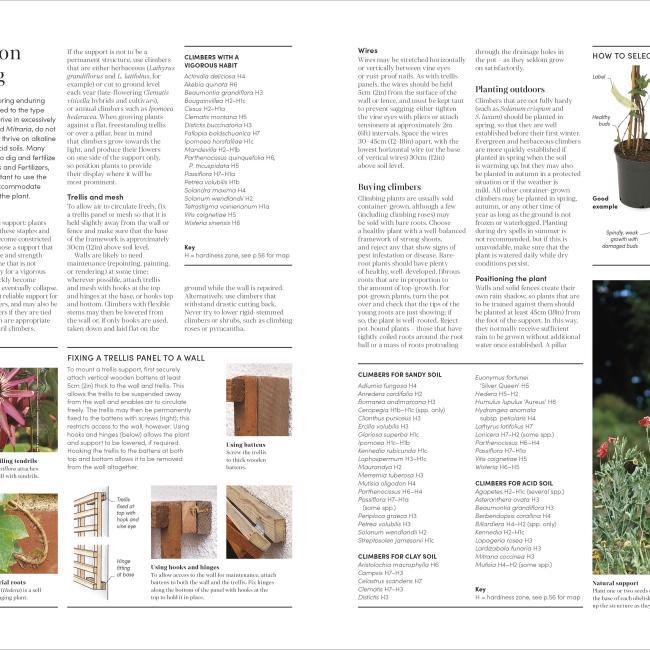 Produktbild RHS Encyclopedia of Gardening New Edition (Englisch, Guy Barter, Christopher Brickell, DK, 2022)