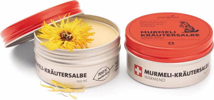 Image du produit Puralpina Pommade aux herbes Murmeli chauffante (1 x, 100 ml, 120 g)