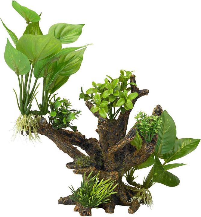 Produktbild EBI Aqua Della Flora Scape 4 M (Dekoration, sonstige Gegenstände)