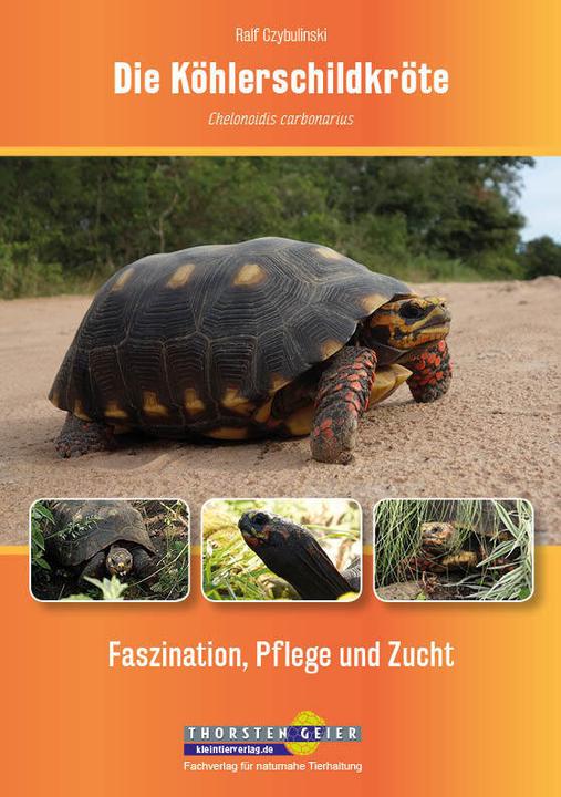 Actual product image Die Köhlerschildkröte Chelonoidis carbonarius (German, Ralf Czybulinski, 2015)