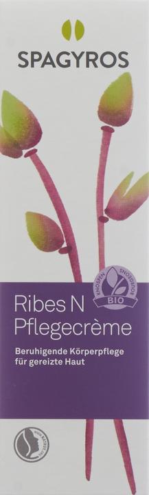 Immagine prodotto Spagyros Crema Ribes N Care (Crema corpo, 50 ml)