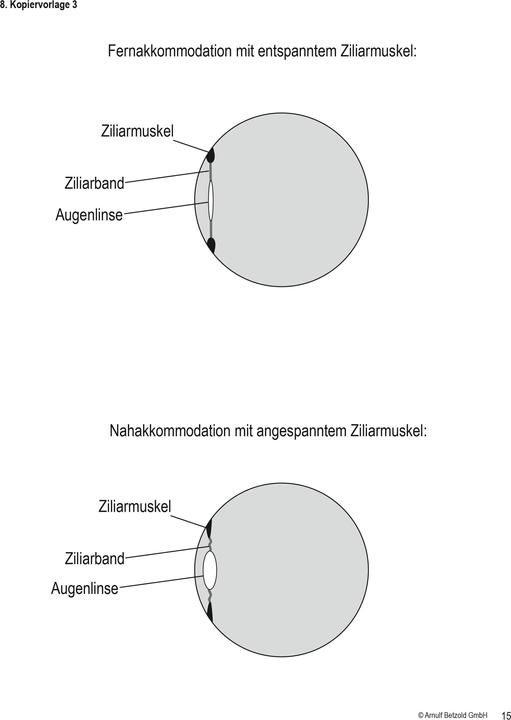 Actual product image Betzold Optics experiment set Image formation in the eye