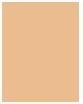Immagine prodotto Lancaster Infinite Bronze (Crema solare, SPF 30, 50 ml, 80 g)