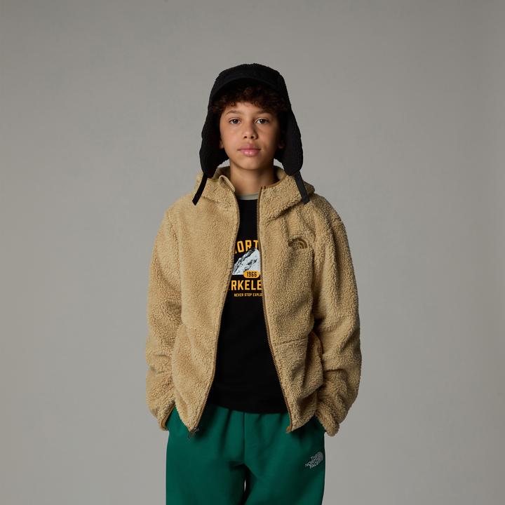 Immagine prodotto North Face Felpa con cappuccio Campshire per ragazzi (158, 164, XL)