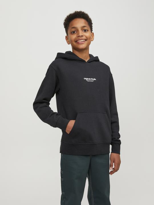 Image du produit Jack & Jones Sweat à capuche (164)