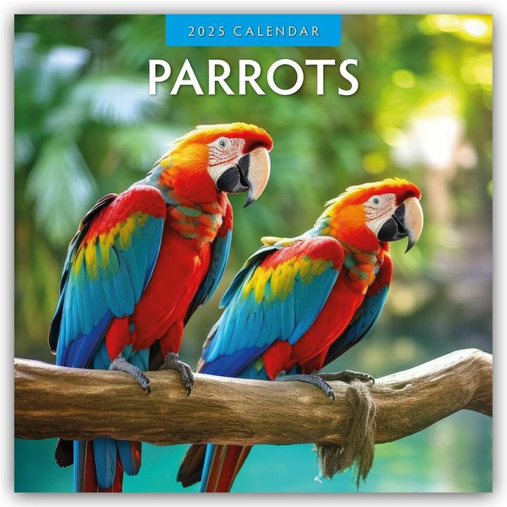 Immagine prodotto Red Robin Publishing Ltd:Pappagalli - Papa (305 x 305 mm, Copertina rigida, Inglese)
