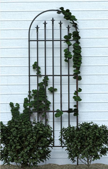 Accessori per piante