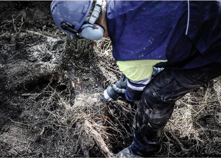 Productafbeelding Bosch Professional Zubehör Expert Taai Hout