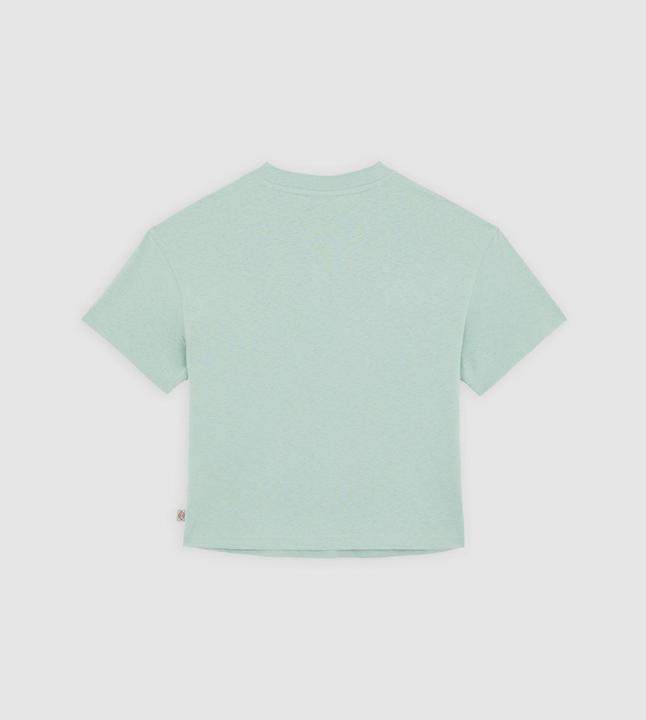 Immagine prodotto Dickies Oakport Boxy Ss Tee Iceberg Green (S)