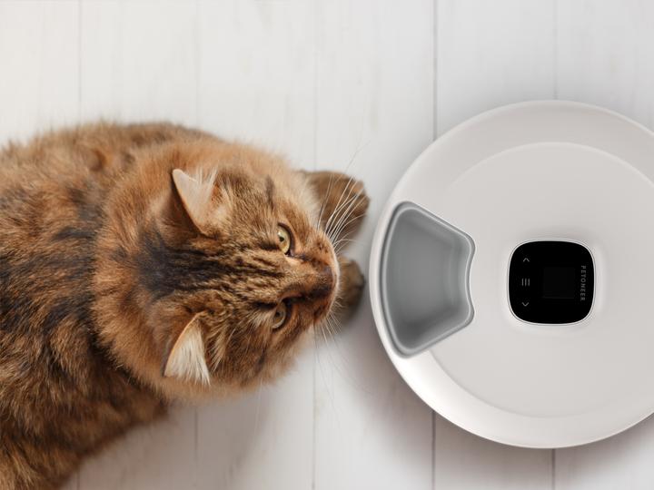 Produktbild Petoneer NutriSpin 6 Meal Pet Feeder (0.17 l)
