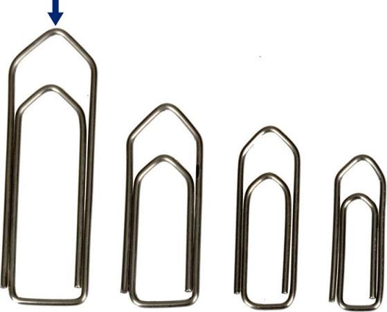 Image du produit Omega Trombone (100 x)