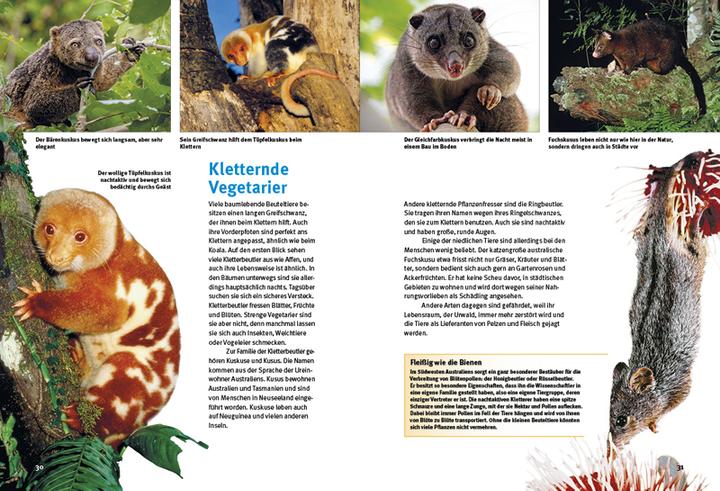 Produktbild Entdecke die Beuteltiere (Deutsch, Leonie Proscurcin, 2022)
