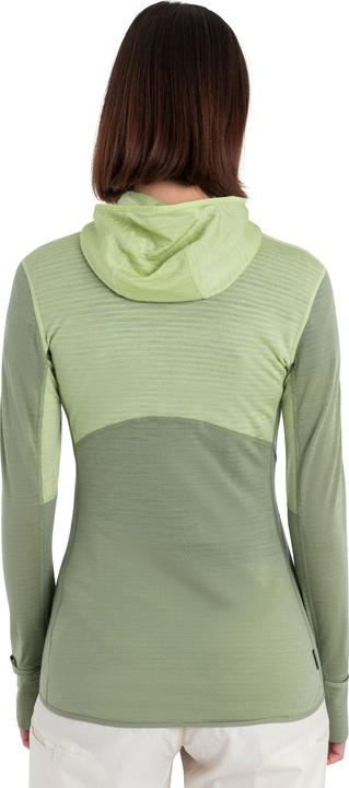 Actual product image Icebreaker Women's Realfleece Descender L/S Zip Hoodie (XL)