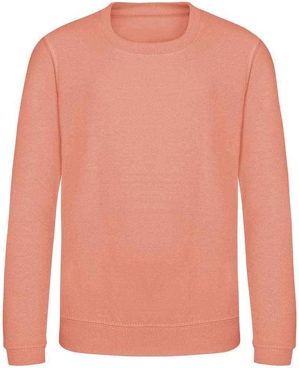 Awdis Just Hoods Sweatshirt