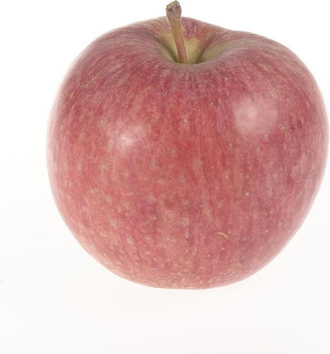 Produktbild Lubera Säulenapfel Malini Equilibro