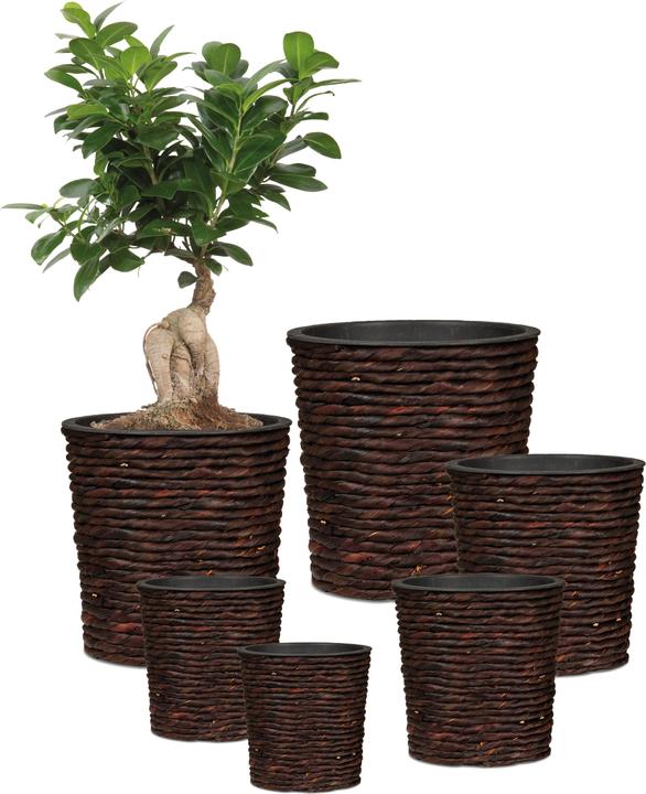 Actual product image Scheurich Water hyacinth 34, wicker planter/basket planter/basket pot made of Water hyacinth Colour: Brown, 34 (34 cm)