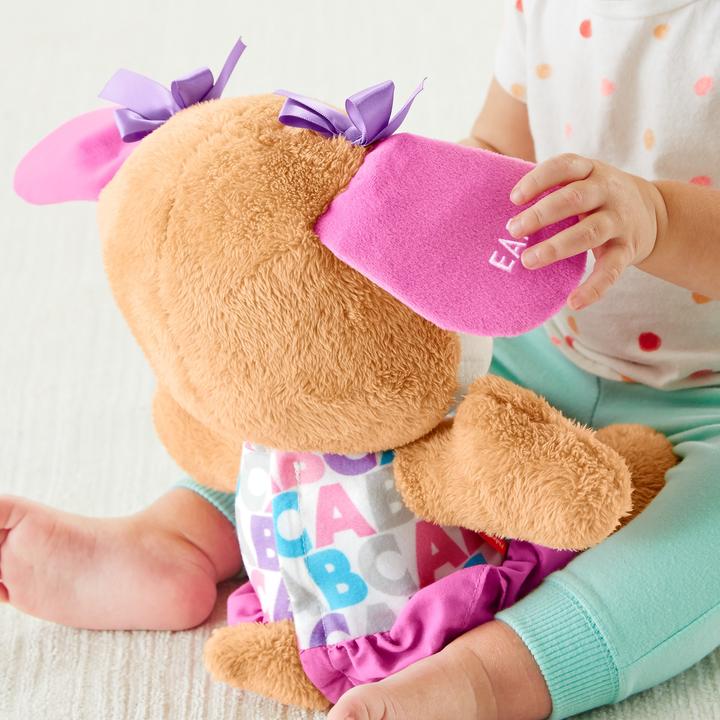 Produktbild Fisher-Price Lernspass Hundefreundin (30.50 cm)