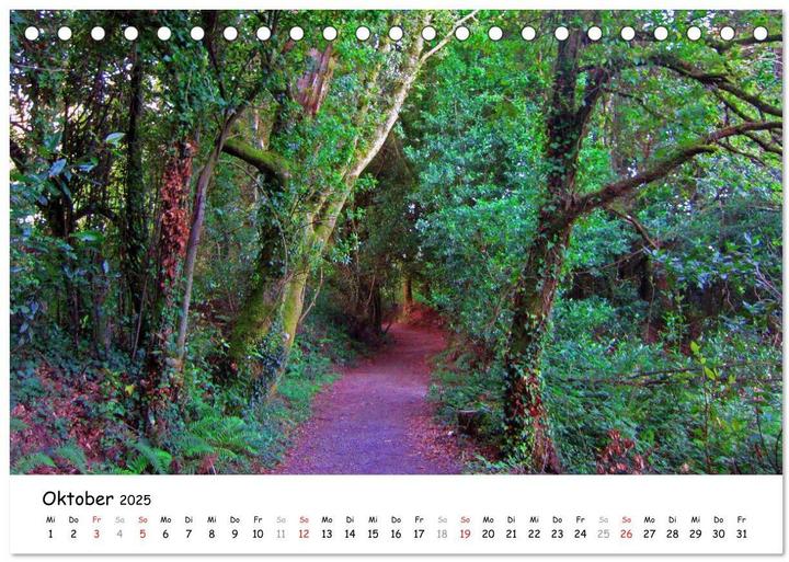 Produktbild Jakobsweg - Camino Ingles (Tischkalender 2025 DIN A5 quer), Monatskalender (A5, Deutsch)