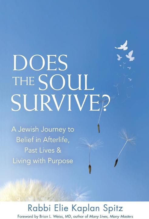 Produktbild Does the Soul Survive? 2/E: A Jewish Journey to Belief in Afterlife, Past Lives & Living with Purpos (Englisch, Elie Kaplan Spitz, 2015)