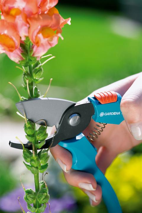 Actual product image Gardena Classic