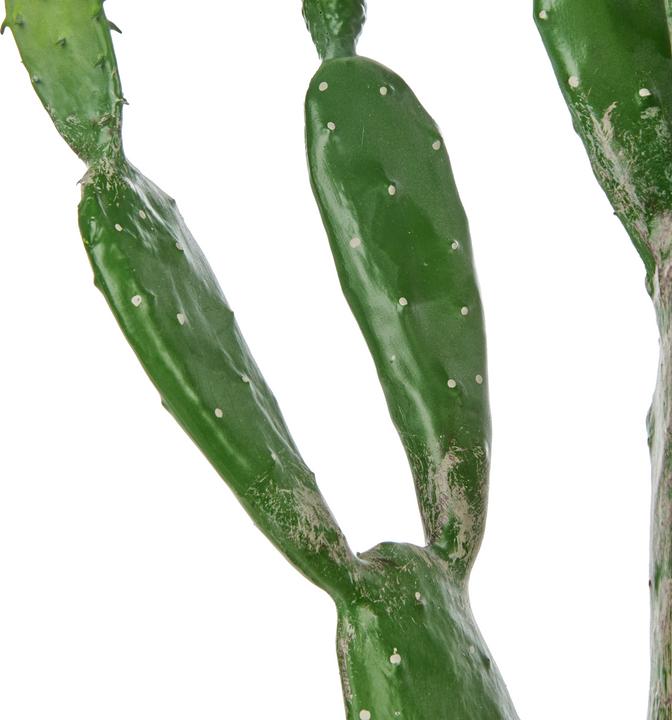 Actual product image Beliani Opuntia Cactus (150 cm)