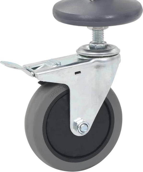 Immagine prodotto VidaXL Carrozza con plateau