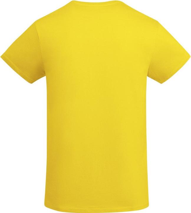 Actual product image Alpinia Mens Breda Plain T-Shirt (XL)