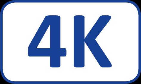 Actual product image Value DisplayPort closed (HDMI, 15 cm)
