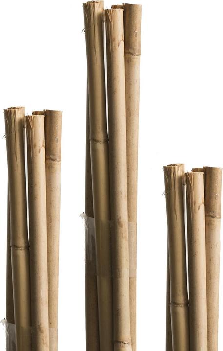 Windhager Tonkin und Splittstab (120 cm, 1 cm)