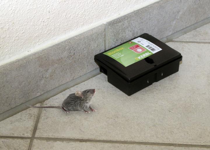 Produktbild Kerbl Köderstation BlocBox (für Mäuse, Köderbox aus Kunststoff, mit Schlüssel verriegelbar, Masse 12