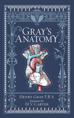 Actual product image Gray/'s Anatomy (Barnes & Noble Collectible Classics: Omnibus Edition) (English, Henry Gray, 2018)