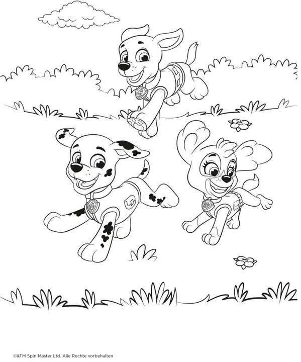 Actual product image Paw Patrol