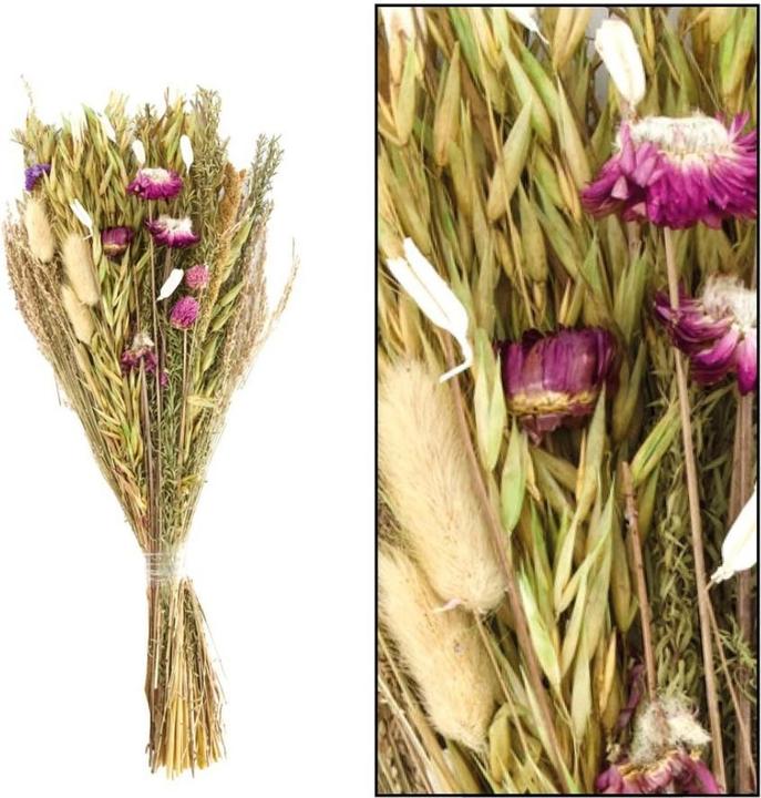 Image du produit Dijk Bouquet de fleurs séchées (Fleurs séchées)