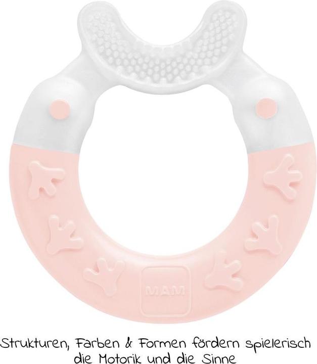 Actual product image MAM Beissringe & Zahnungshilfen Beissring Bite & Brush - Rosa