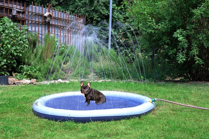 Immagine prodotto Infactory Tappeto per giochi d'acqua per bambini e cani