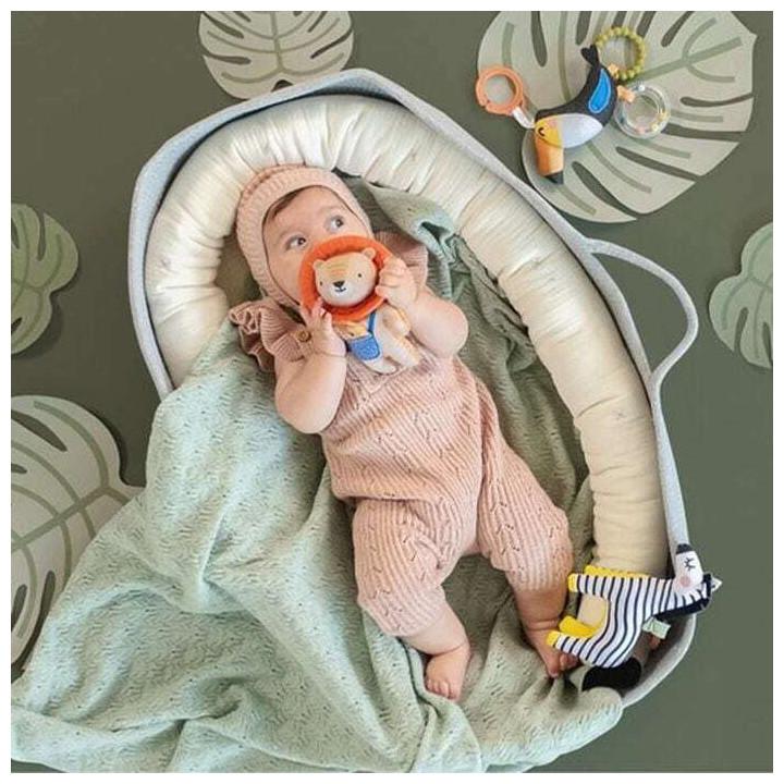Actual product image Taf Toys Dizi the zebra