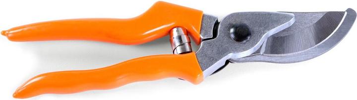Immagine prodotto Fuxtec Forbici da potatura Basic 20 cm