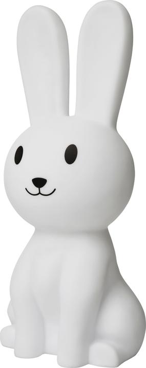 Actual product image Petite Nuit Rabbit Night Lamp (26506)