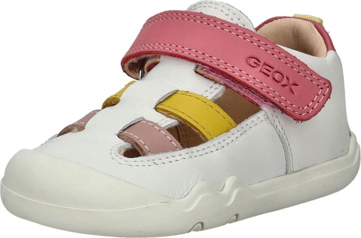 Geox Sneaker (21)