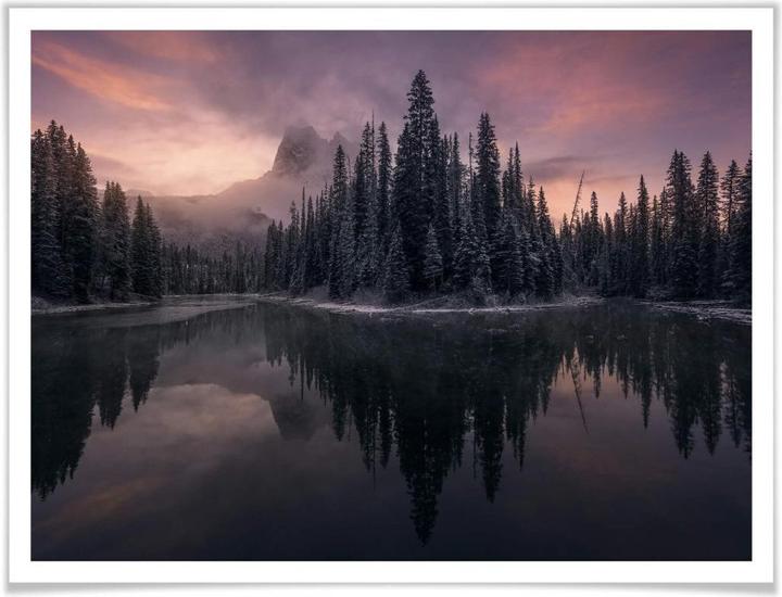 Produktbild Trenddeko Fairytale Forest (100 x 80 cm)