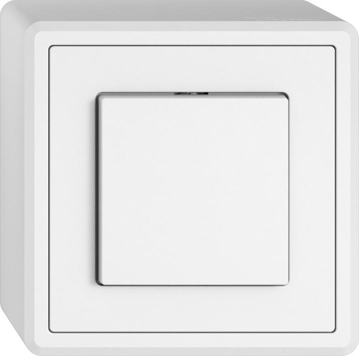 Actual product image Steffen EDIZIO.liv surface-mounted push-button CLOSER-OPENER 1L ws