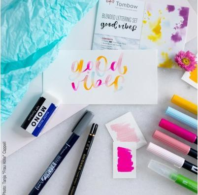 Actual product image Tombow Painter Blended (Pink, Rose, 6 x)